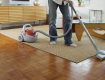 easy ways to get rid of fleas from carpets
